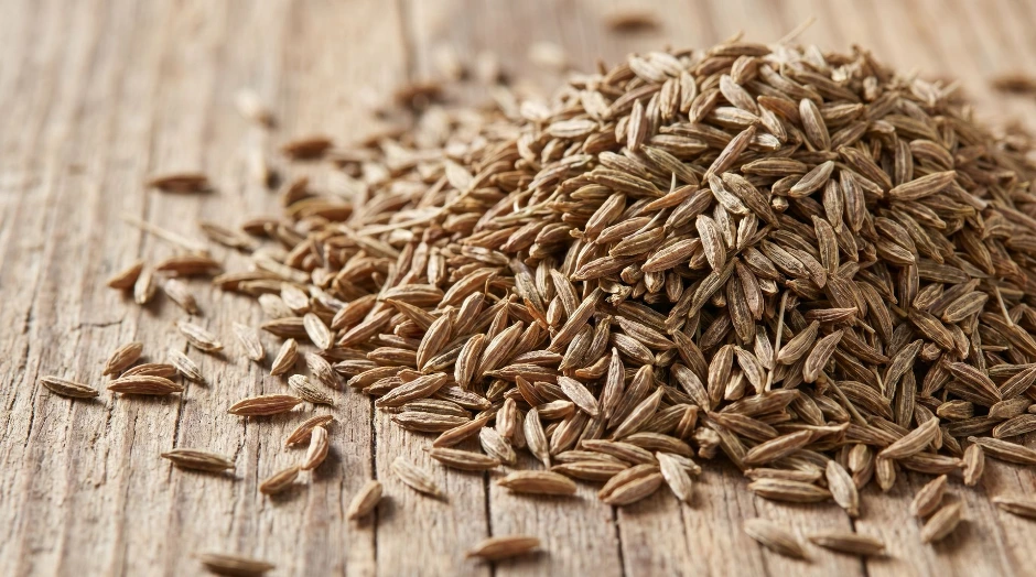 Production process of Don Renardo Gin at a professional distillery.